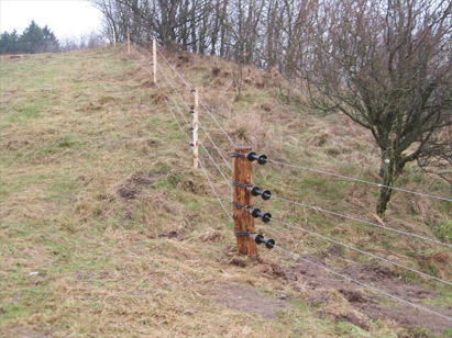 limehegn_pic-naturpleje2